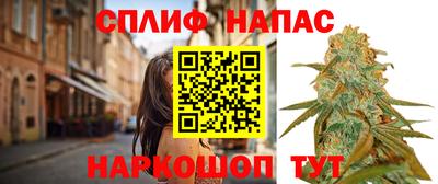 прущие грибы Ирбит
