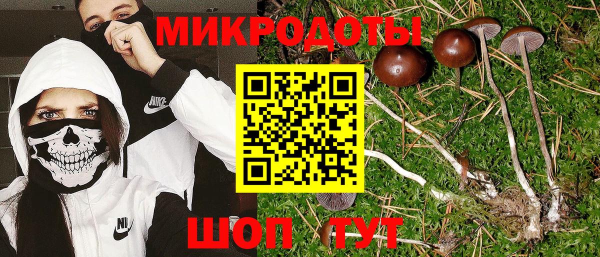 Псилоцибиновые грибы GOLDEN TEACHER Ликино-Дулёво