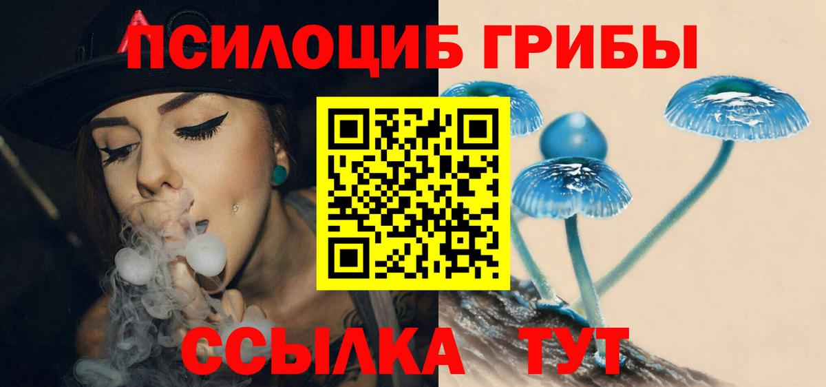 Ликино-Дулёво  Псилоцибиновые грибы Psilocybine cubensis  Вход с VPN  Галлюциногенные грибы Cubensis 